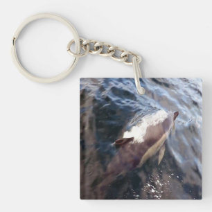 Common Dolphin Oceanic Marine Wildlife Nautical  Key Ring