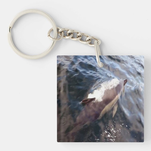 Common Dolphin Oceanic Marine Wildlife Nautical  Key Ring (Front)