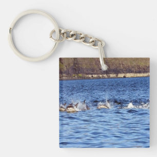Common Dolphin Pod Swimming Surfacing Ocean Wild Key Ring