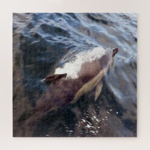 Common Dolphin Surfacing Blue Ocean Marine Life Jigsaw Puzzle