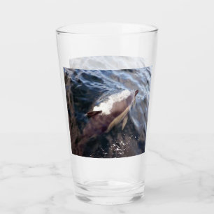 Common Dolphin Surfacing  Glass