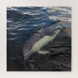 Common Dolphin Swimming Customisable Jigsaw Puzzle