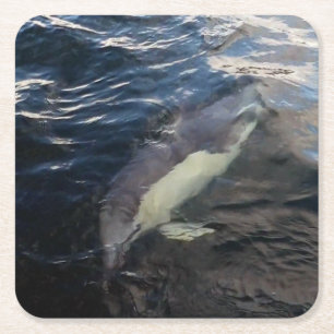 Common Dolphin Swimming Ocean Wildlife Blue Marine Square Paper Coaster