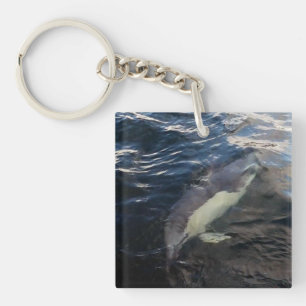 Common Dolphin Swimming Ocean Wildlife Marine Life Key Ring