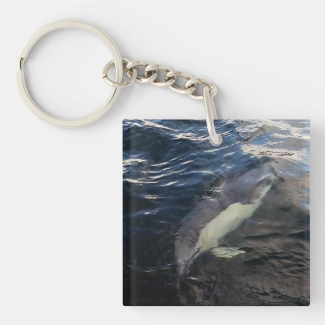 Common Dolphin Swimming Ocean Wildlife Marine Life Key Ring (Front)