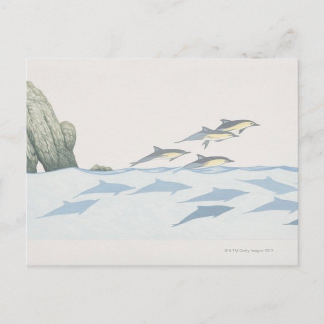 Common Dolphins Postcard (Front)