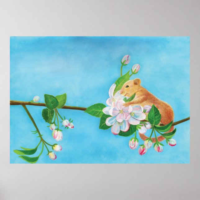 Common Dormouse on blooming branch of apple tree  Poster (Front)