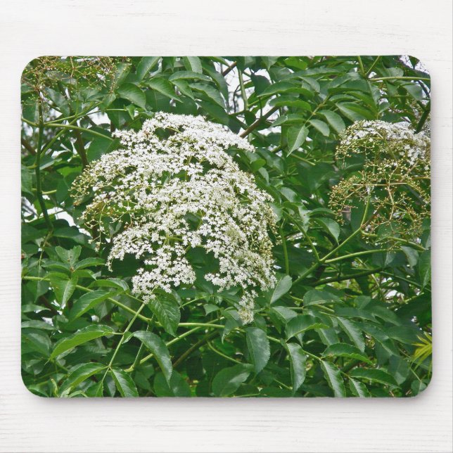 Common Elderberry Coordinating Items Mouse Mat (Front)