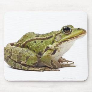 Common European frog or Edible Frog Mouse Mat