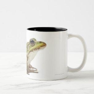 Common European frog or Edible Frog Two-Tone Coffee Mug