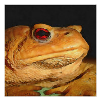 Common European Toad Bufo Bufo Black Outline Art