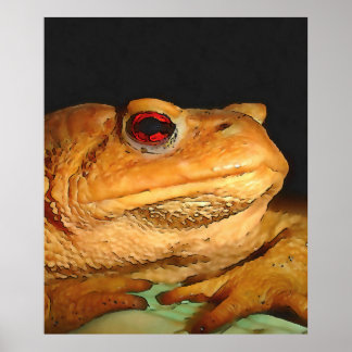 Common European Toad Bufo Bufo Black Outline Art Poster