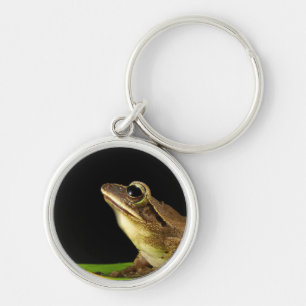 Common Frog on a Leaf Key Ring