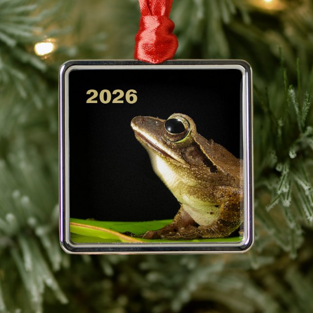 Common Frog on a Leaf Metal Tree Decoration (Tree)
