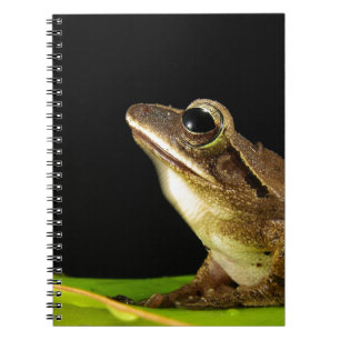 Common Frog on a Leaf Notebook