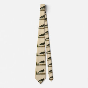 Common Gallinule from Audubon's Birds of America Tie