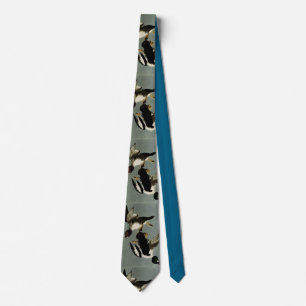 Common goldeneye sea duck  tie