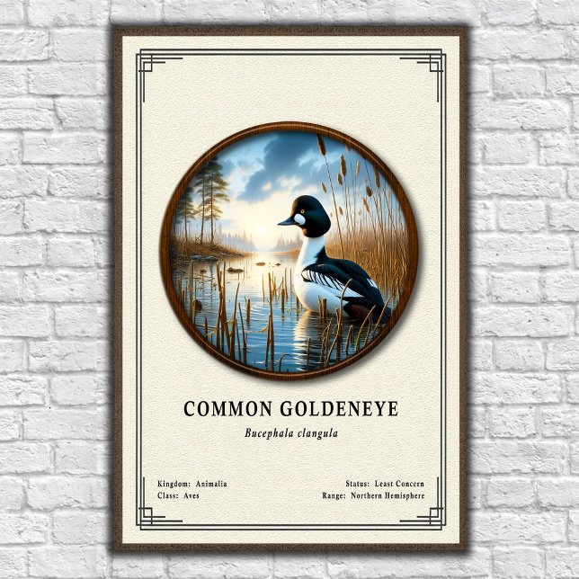 Common Goldeneye Zoology Series Poster (Creator Uploaded)