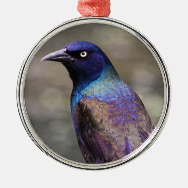 Common Grackle Metal Tree Decoration (Front)