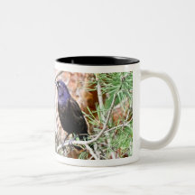 Common Grackle Mug