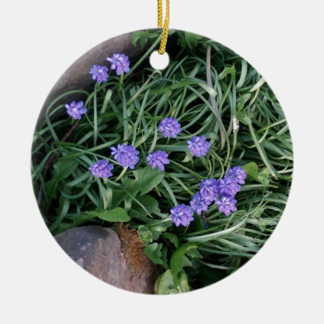 common grape hyacinth,  blue purple flower,floral ceramic tree decoration (Front)