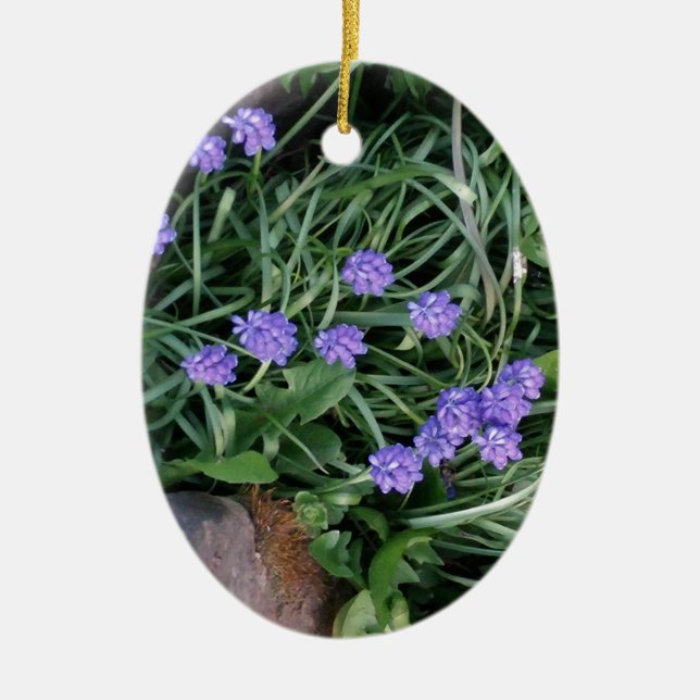 common grape hyacinth,  blue purple flower,floral ceramic tree decoration (Front)