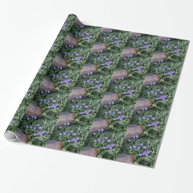 common grape hyacinth,  blue purple flower,floral wrapping paper (Unrolled)