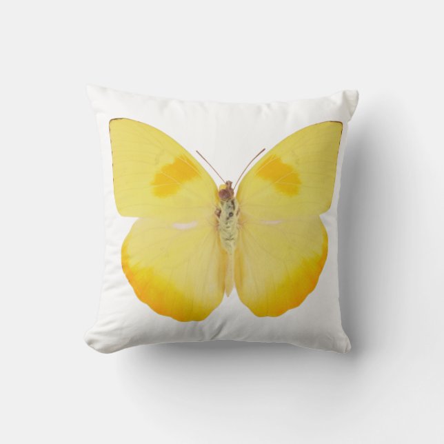 Common Grass Yellow Butterfly Cushion (Front)