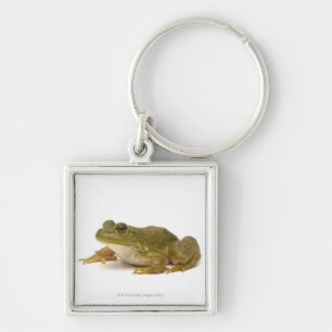 Common Green Frog Key Ring