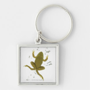 common green frog key ring