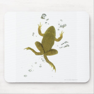 common green frog mouse mat