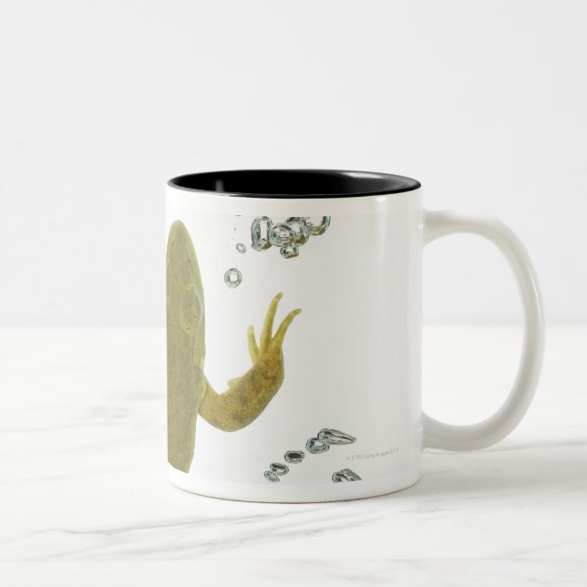 common green frog Two-Tone coffee mug (Right)
