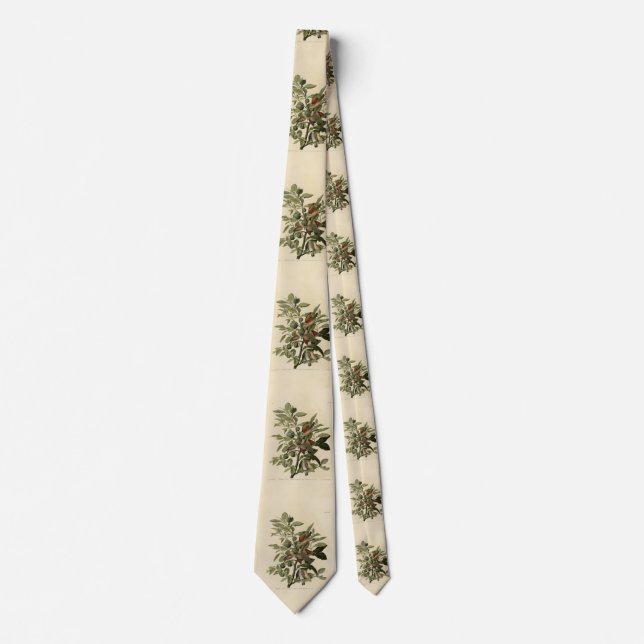Common Ground-Dove from Audubon's Birds of America Tie (Front)