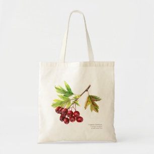 Common Hawthorn botanical art painted watercolor Tote Bag