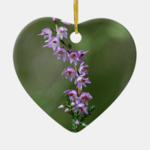 Common Heather (Calluna vulgaris) Ceramic Tree Decoration