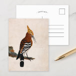 Common Hoopoe | William Lewin Postcard<br><div class="desc">Common Hoopoe (before 1790) | William Lewin’s Common Hoopoe is an elegant and detailed depiction of a hoopoe bird perched on a branch against a minimalist neutral background. The painting highlights the bird’s distinctive crest and striking plumage with remarkable precision, emphasising its unique beauty. The simplicity of the background draws...</div>