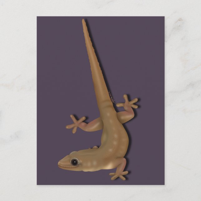 Common House Gecko Postcard (Front)