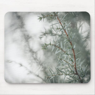 Common Juniper Nature Photograph Mouse Mat