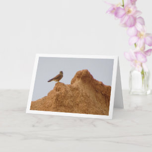 Common Kestrel Bird, Falco Tinnunculus  Card