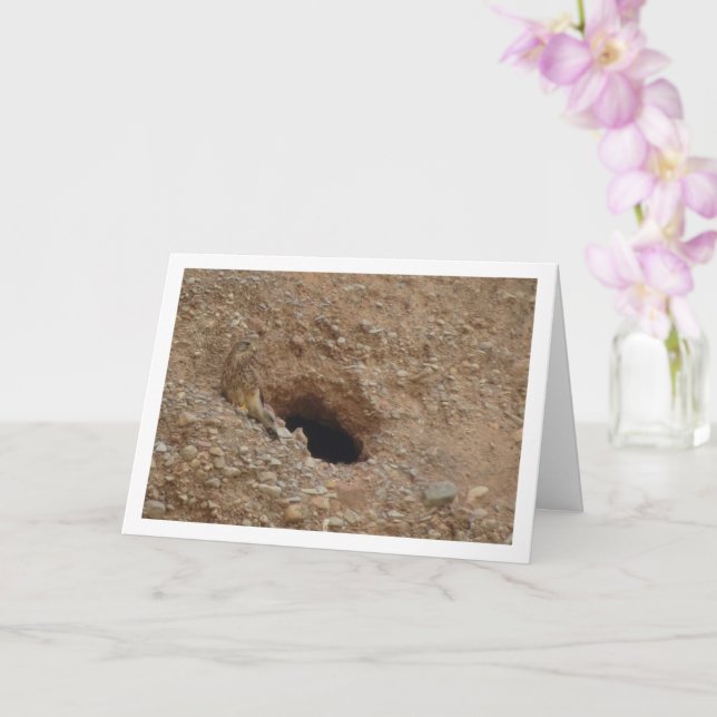 Common Kestrel Bird, Falco Tinnunculus Card (Orchid)