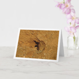 Common Kestrel Bird, Falco Tinnunculus  Card