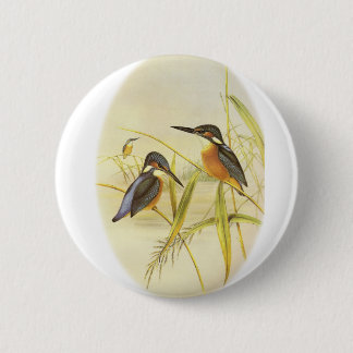 Common Kingfisher 6 Cm Round Badge