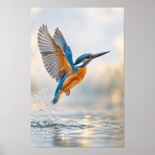 Common Kingfisher in Flight Above Water Wildlife W Poster