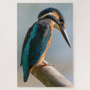 Common Kingfisher Jigsaw Puzzle