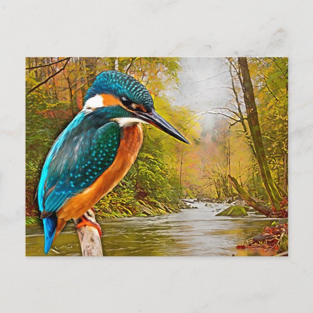 Common Kingfisher Postcard (Front)