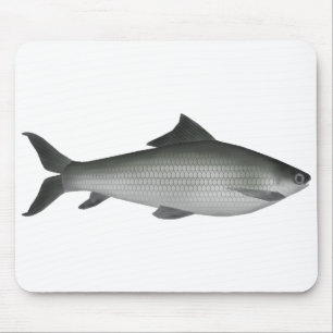 Common Labeo Mouse Mat