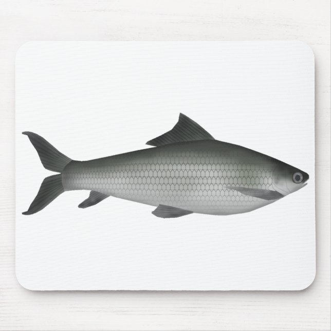 Common Labeo Mouse Mat (Front)