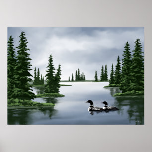 Common Loon Art Prints