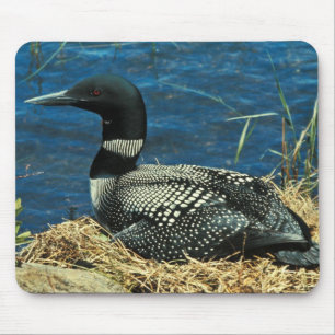 Common Loon Mouse Mat