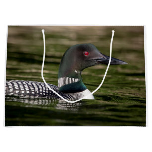 Common Loon on Jabe Pond Large Gift Bag